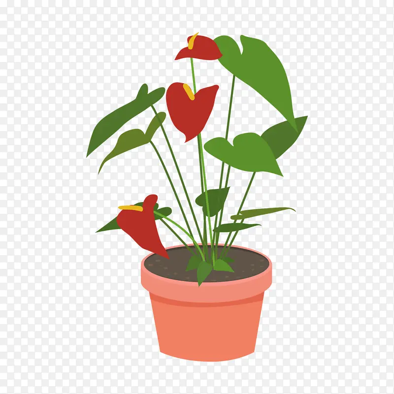 红掌、家居植物、室内盆栽、矢量元素