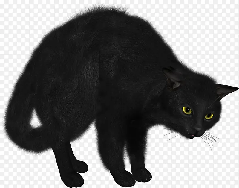 黑猫免扣可爱的黑猫小猫