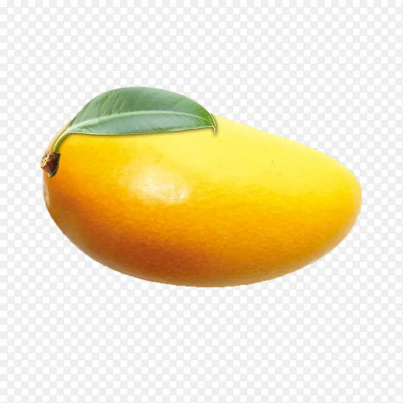 透明芒果水果素材