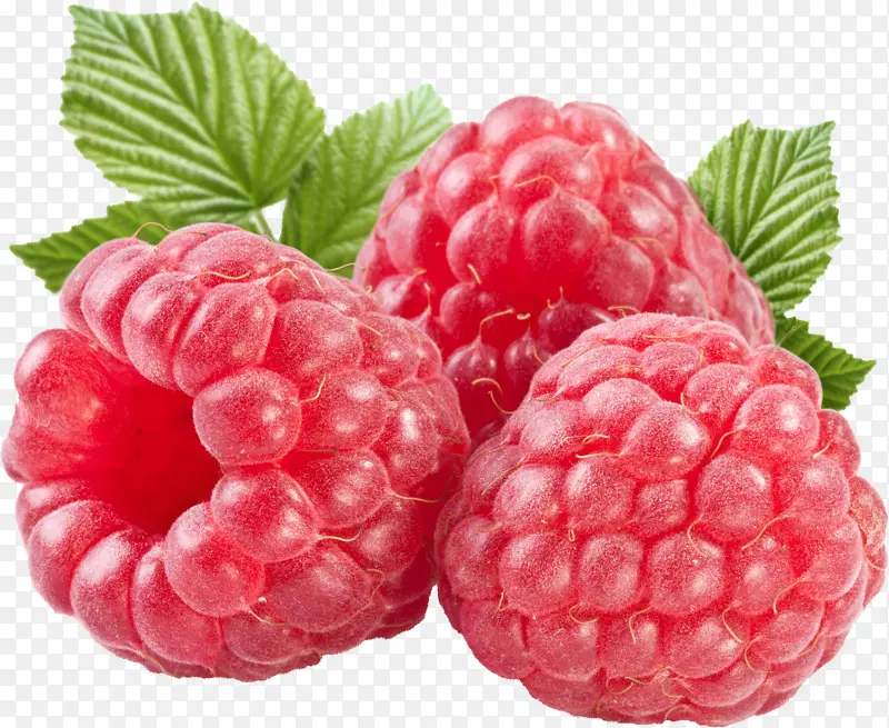 红色水果野生草莓