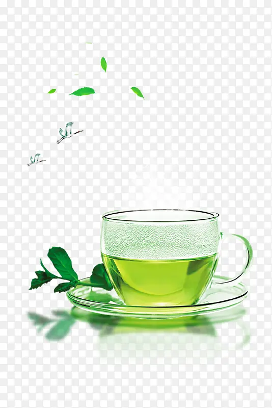 茶道茶叶茶杯绿叶