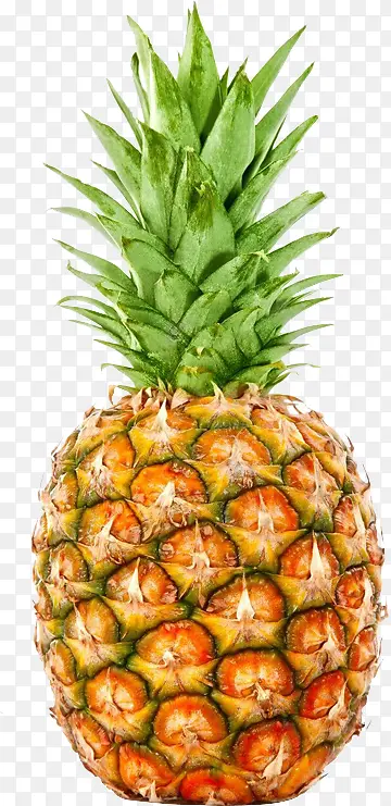 热带水果的菠萝
