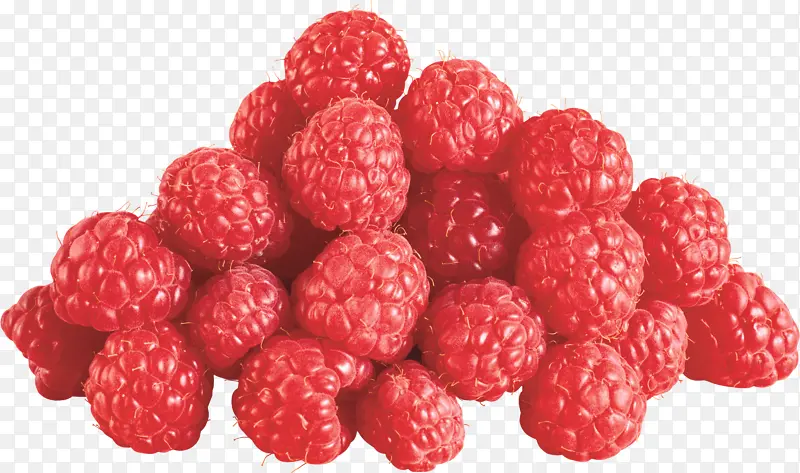 红色水果野生小草莓