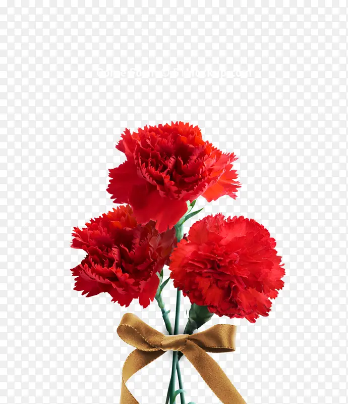 红色康乃馨花束系带