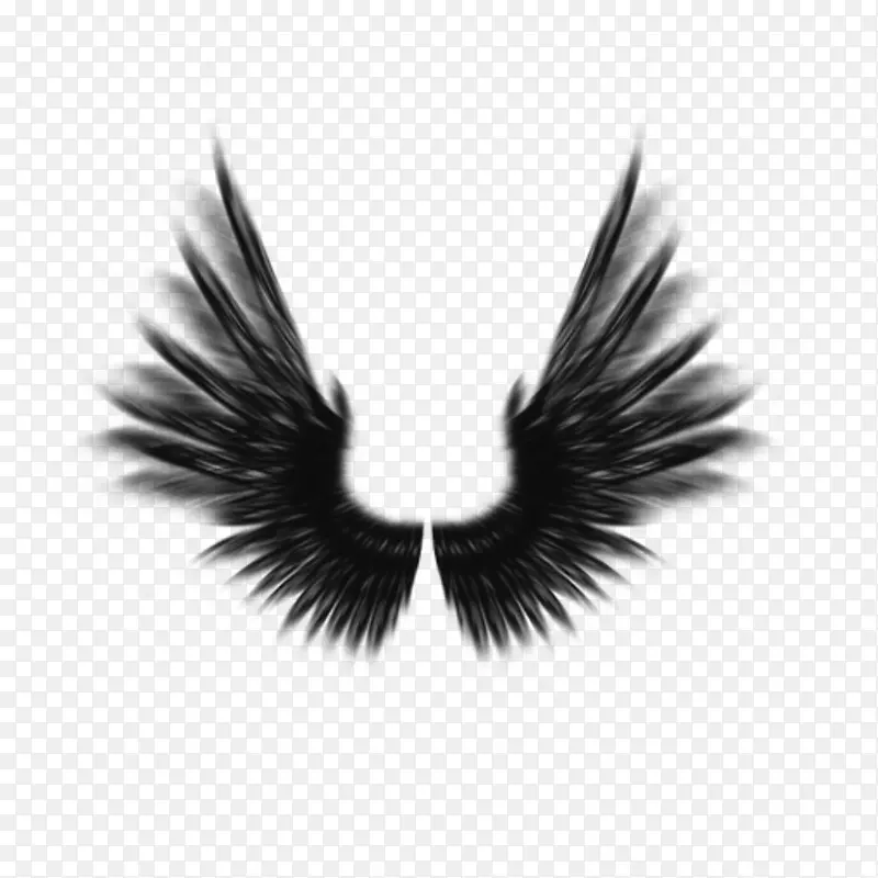 黑色天使翅膀装饰元素