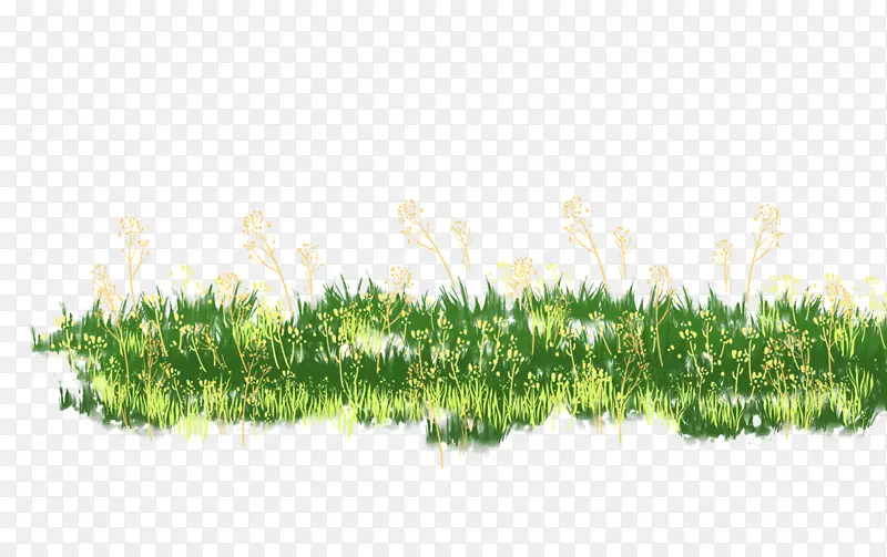 春天草地草丛野花