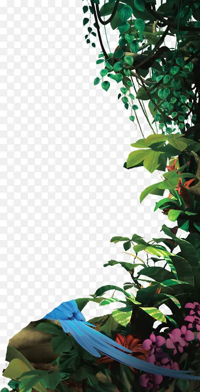 植物，绿叶，自然，合成海报素材