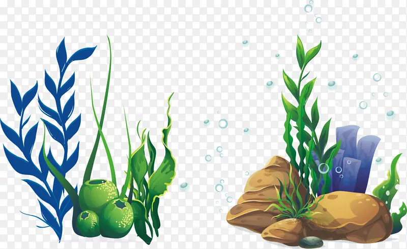 海底植物海藻