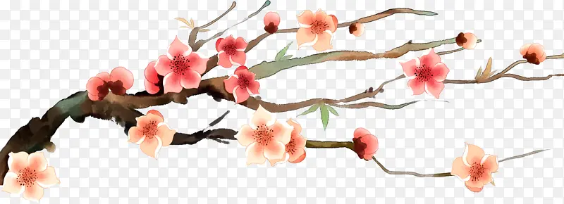 梅花枝头盛开