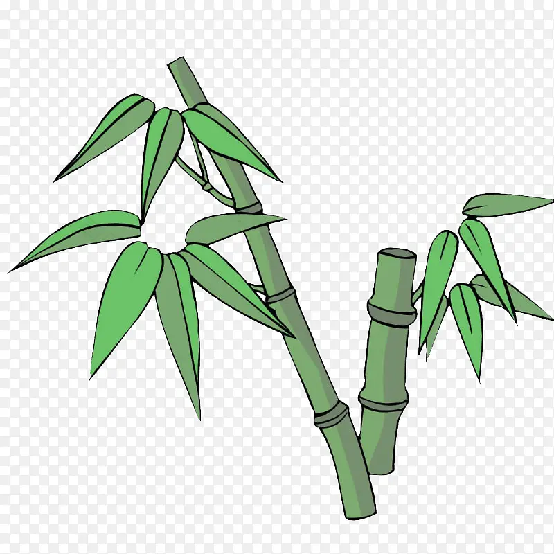竹子（800x800）