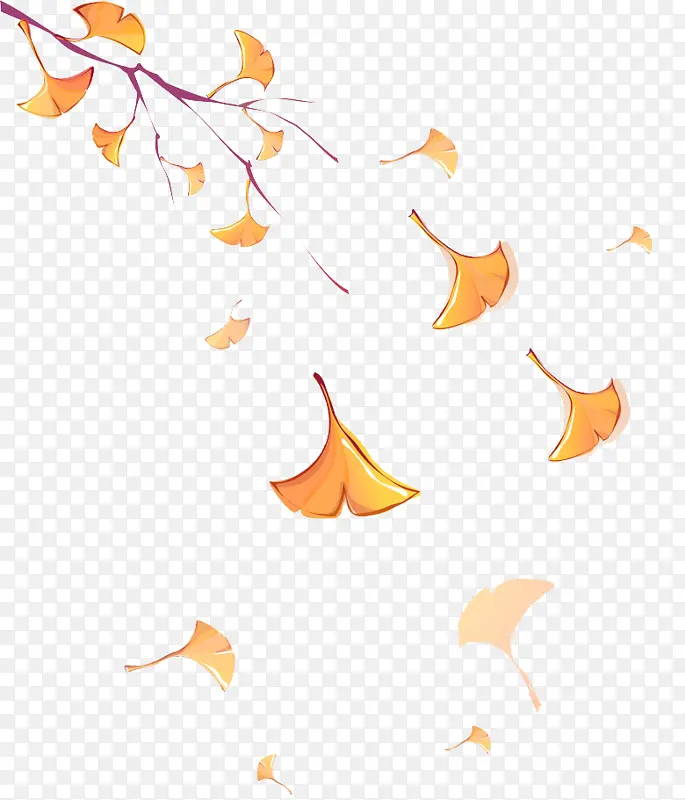 银杏树落叶秋天