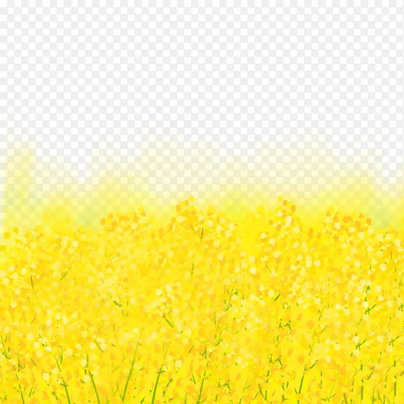 金色装饰油菜花卡通植物黄色元素