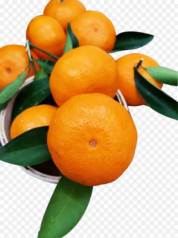 龙门年桔 橘子