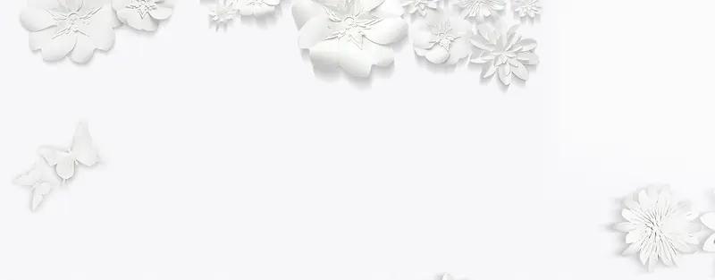 白色优美花朵
