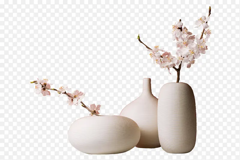 花，花瓶，木枝，白色