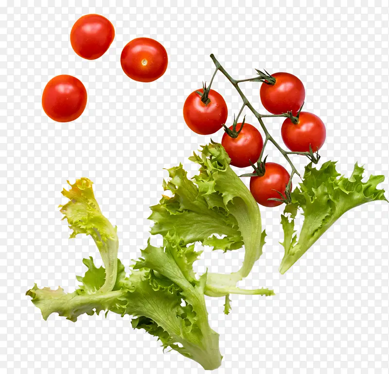 生菜和小西红柿