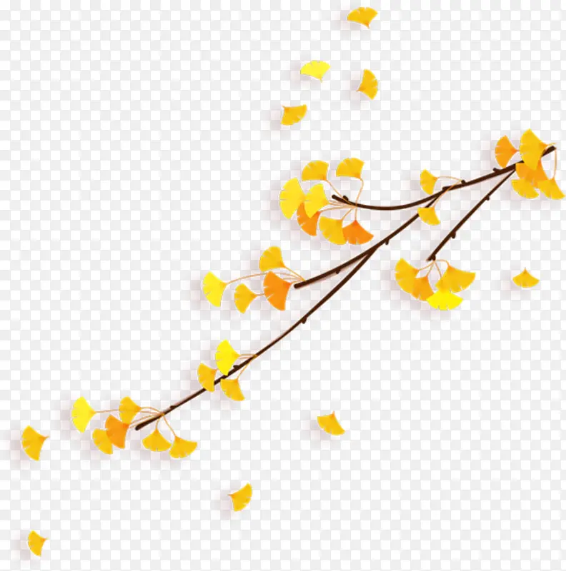 黄色银杏树枝
