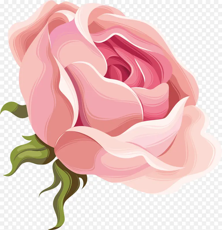 漂亮玫瑰牡丹花