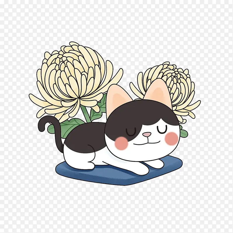 菊花旁睡觉猫