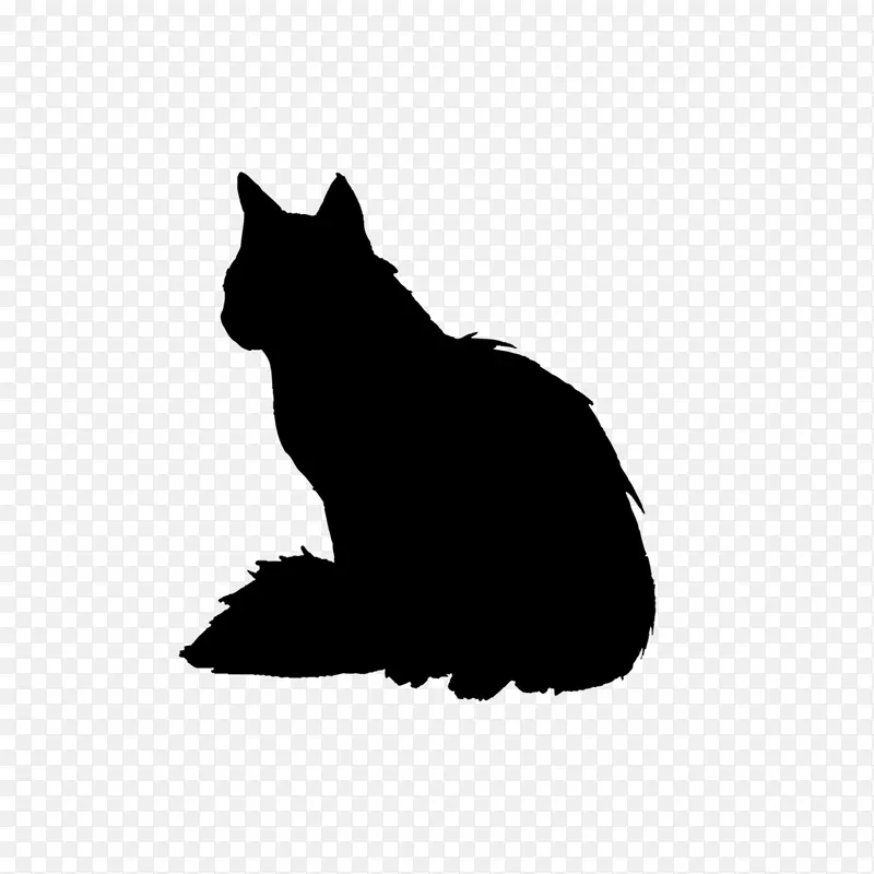 猫的黑色阴影