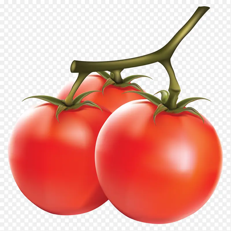 番茄 卡通西红柿