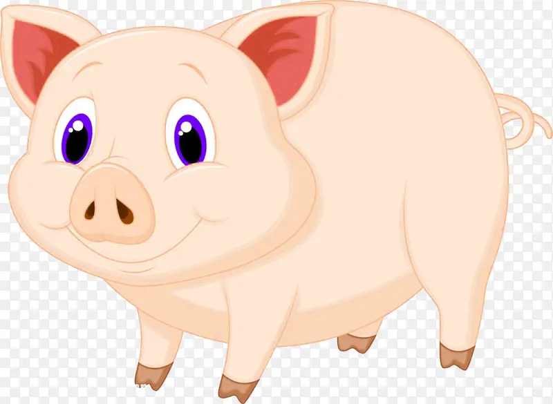 卡通动物一只猪
