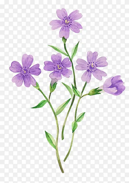 手绘紫色小花花