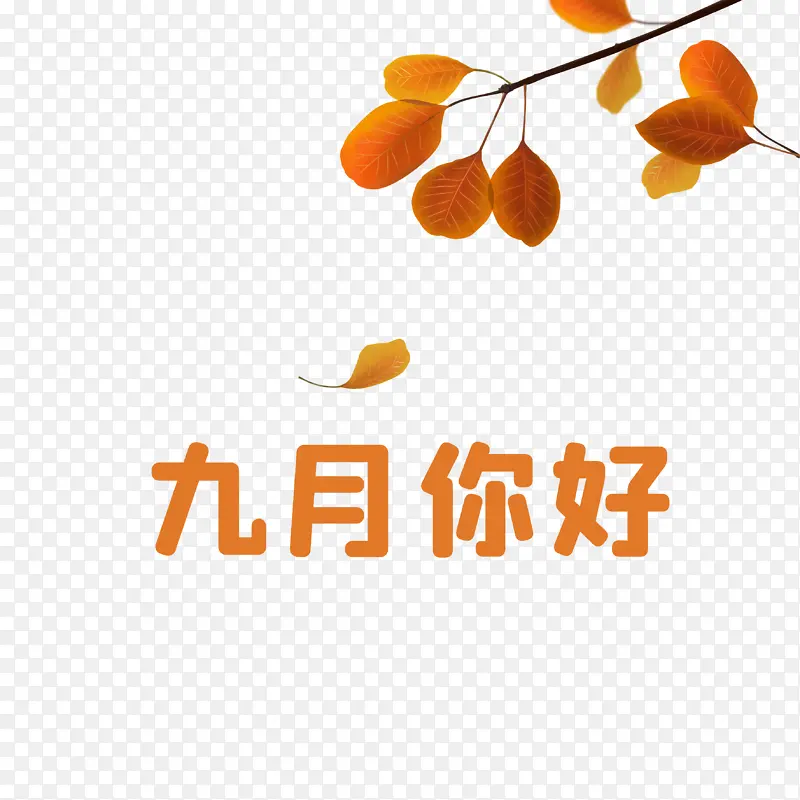 九月你好秋天叶子元素PNG图片素材下载_图片编号qommkgvw-免抠素材网