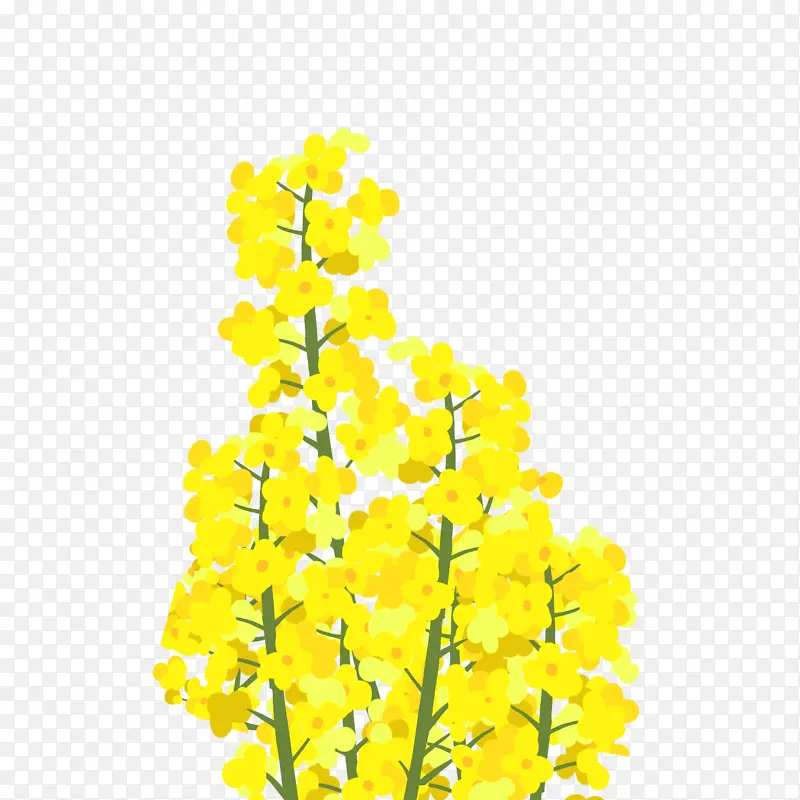 金色 装饰 黄色 花朵植物绿色 黄花元素