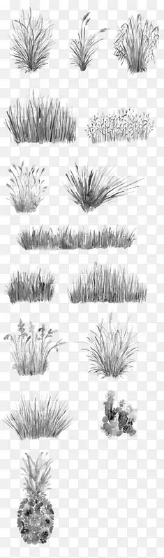 水墨风植物草丛