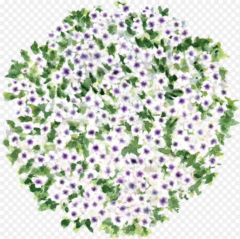 平面图紫花花灌木树木图标