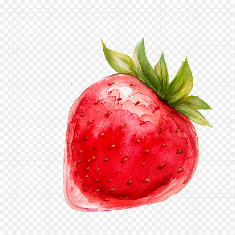 水彩画的草莓