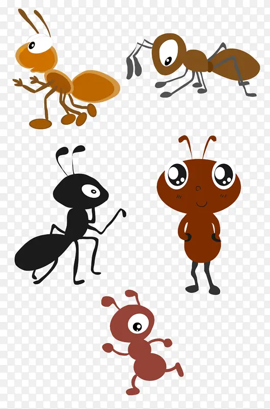 蚁蚂蚁白蚁动物家蚁繁殖力极强