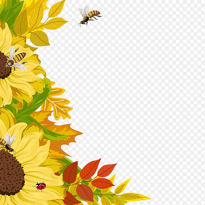 向日葵和小蜜蜂