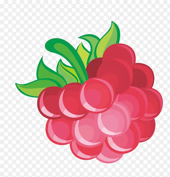树莓覆盆子莓