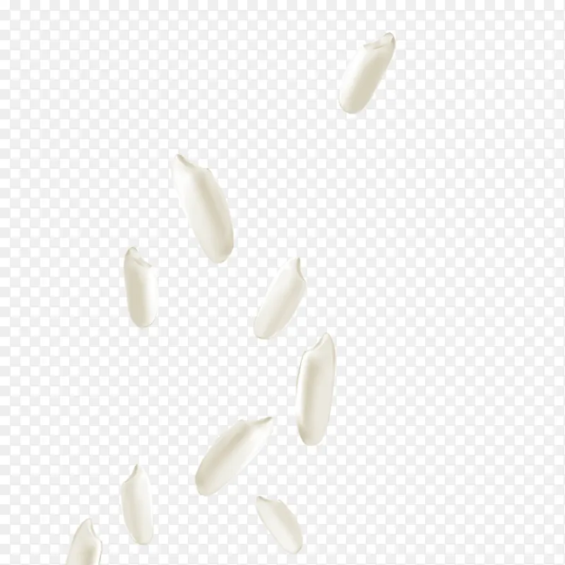 白色大米米粒