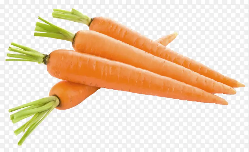 胡萝卜，免扣元素