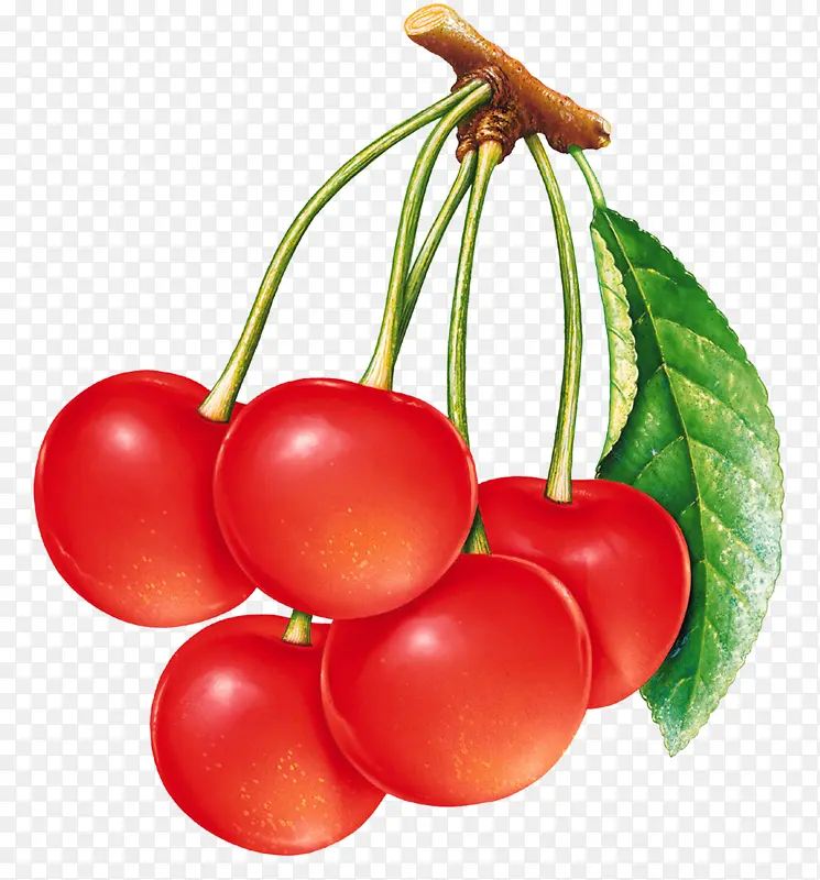 高清PNG水果-红樱桃1