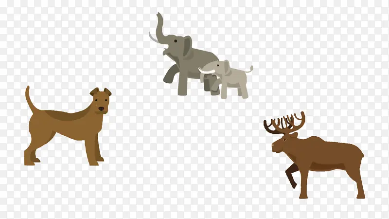 动物合集大象狗鹿
