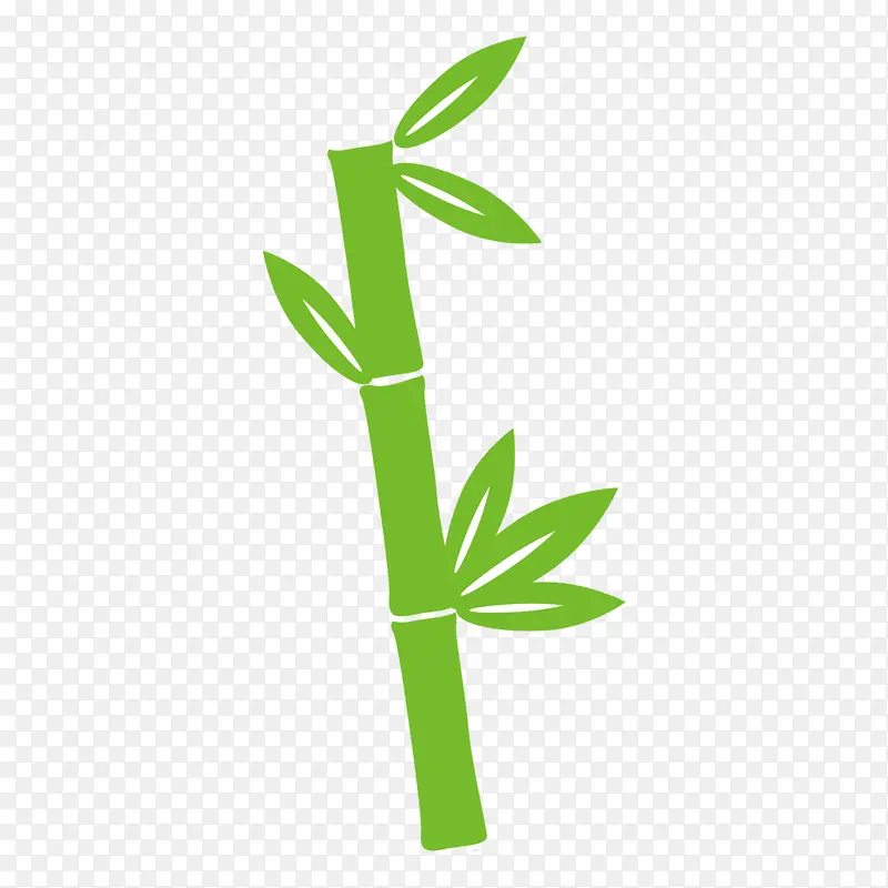 中国风绿色植物竹子