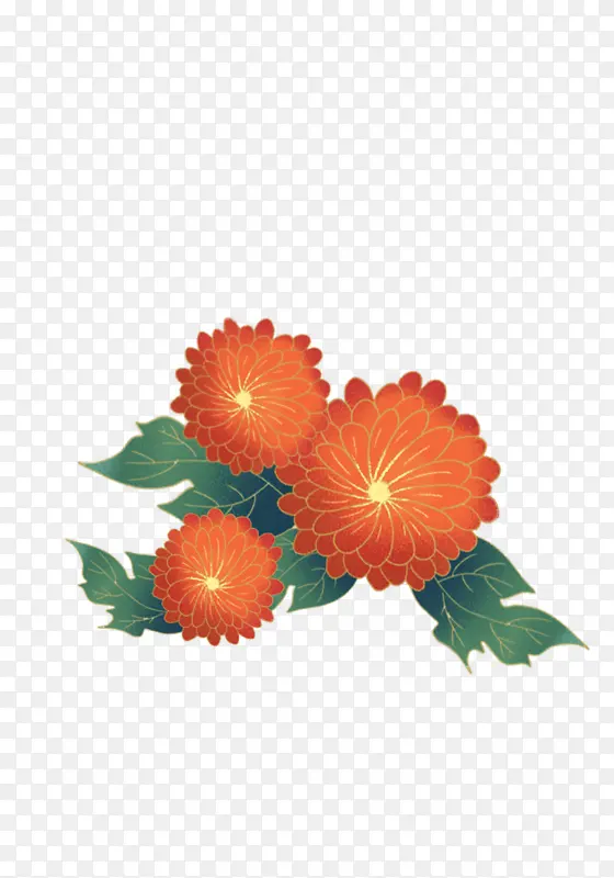 国潮风菊花彩色菊花插画