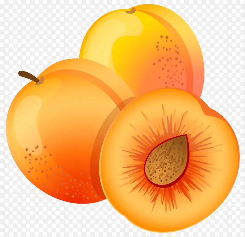 卡通可爱水果杏子