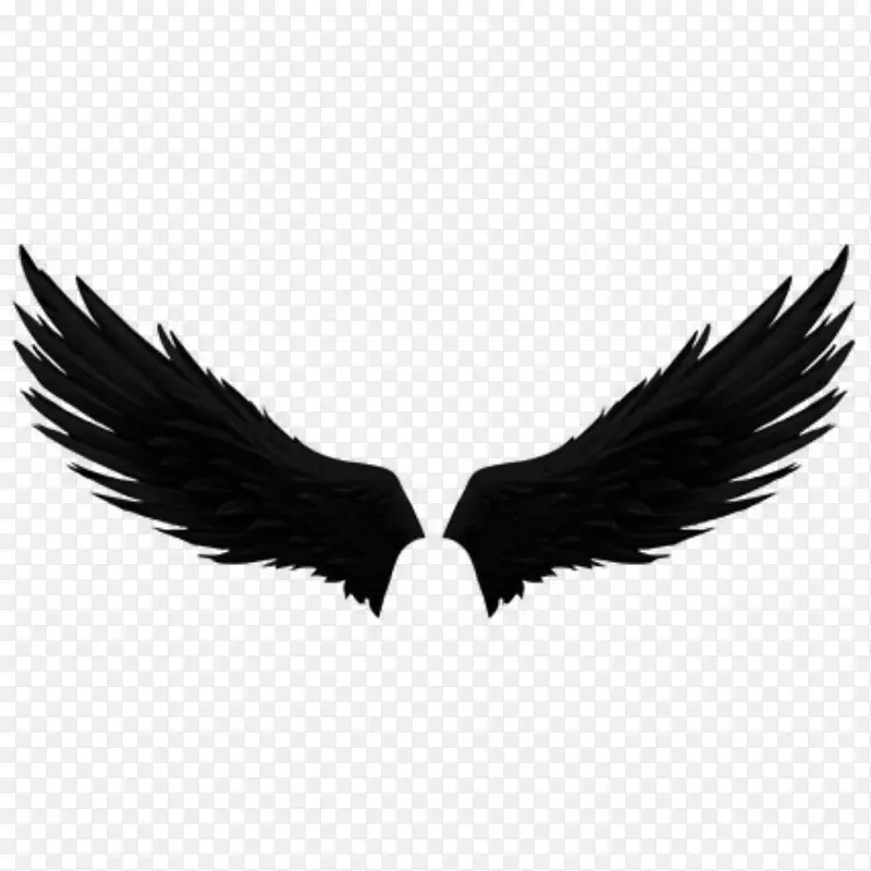 黑天使翅膀 万圣节黑色翅膀