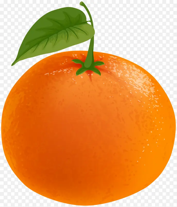 金色甜甜的水果橘子