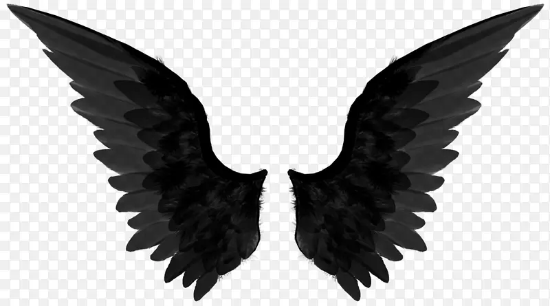 黑色的天使翅膀