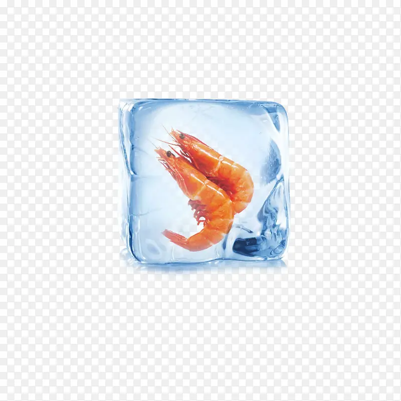 透明状冰冻虾