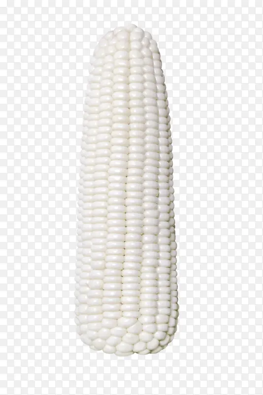 一个白玉米蔬菜