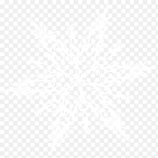 一个精美的雪花片