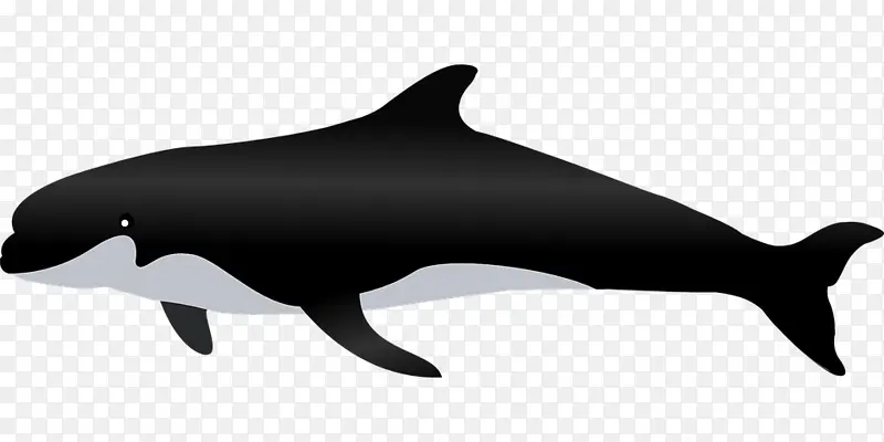 黑色漂亮的鲸鱼