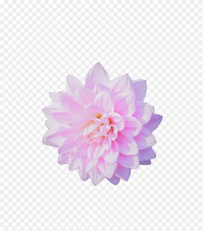 花卉花瓣（2334x2657）